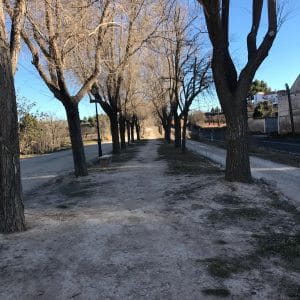 Área de Ayora