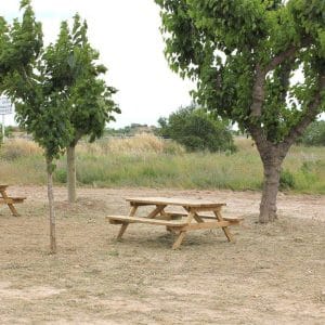 Área de Cervera