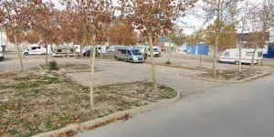 Área de Ceutí