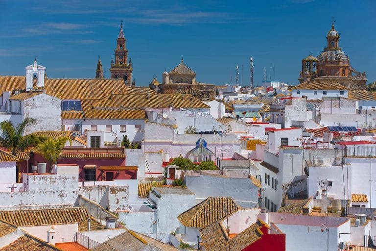 Vista panorámica de Carmona con tejados blancos y naranjas en primer plano y varias torres e iglesias al fondo bajo un cielo azul despejado.