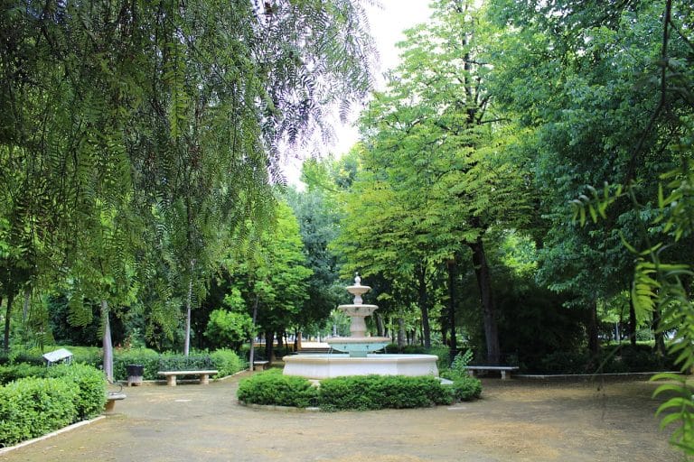 Parque Alcántara Romero con senderos sombreados y fuente central rodeada de exuberantes árboles y bancos de piedra.