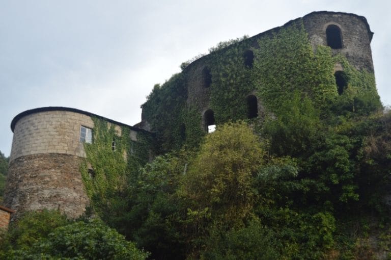 Castillo de Navia de Suarna cubierto de vegetación, con muros de piedra y torres parcialmente restauradas, rodeado de naturaleza frondosa.