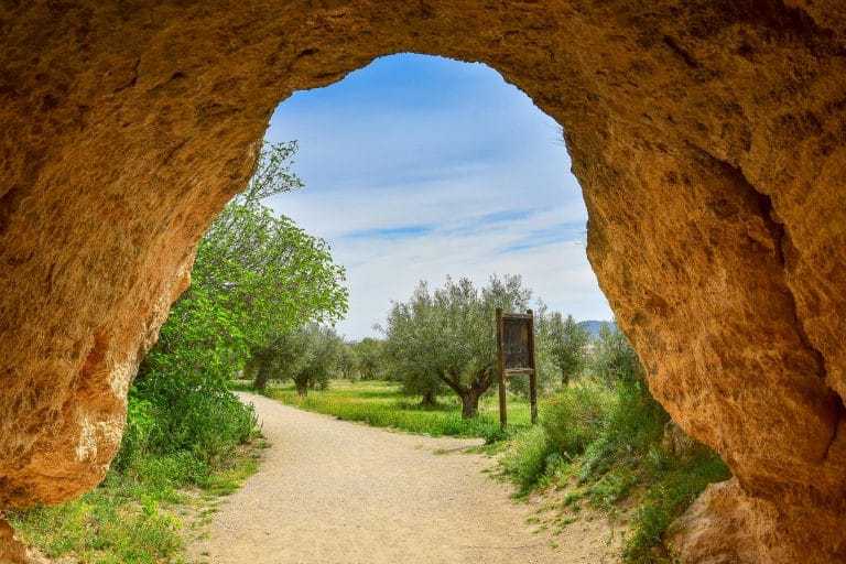 Vista desde el interior de una cueva en Caravaca de la Cruz con un sendero de tierra rodeado de olivos y un cartel informativo al fondo.
