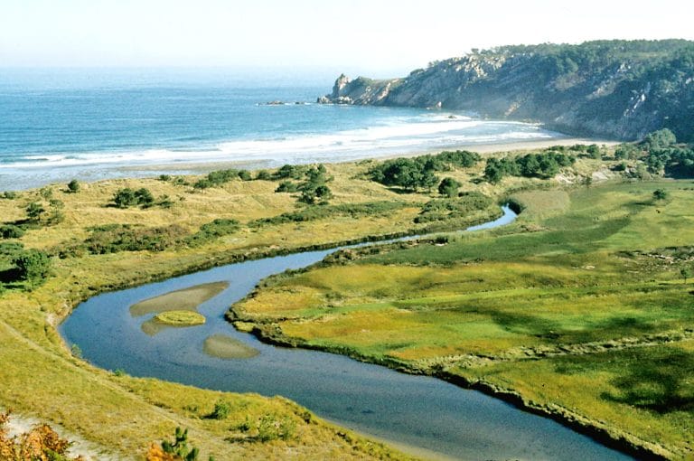 Vista aérea de la desembocadura del río Navia en la costa de Asturias, con su cauce serpenteando entre verdes praderas antes de llegar al mar Cantábrico.