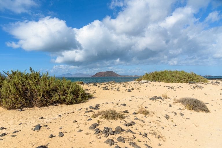 Vista de la Isla de Lobos desde las dunas de Corralejo en Fuerteventura, con vegetación costera y cielo parcialmente nublado