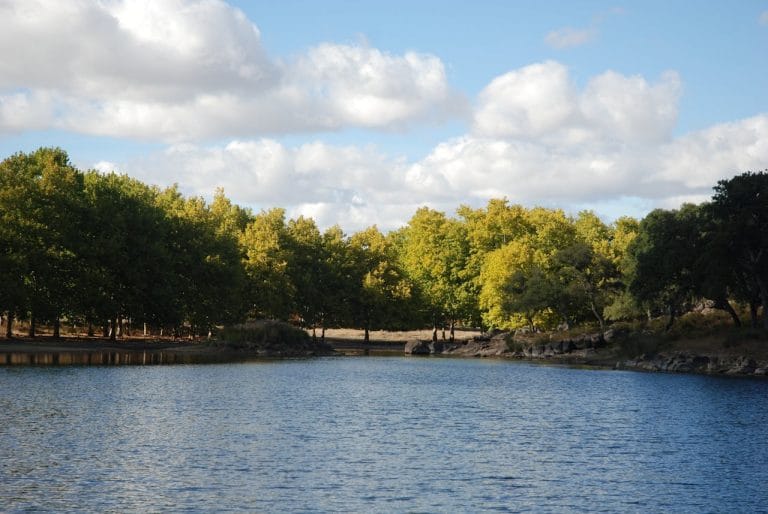 Paisaje de un lago tranquilo rodeado de árboles con hojas verdes y amarillas, bajo un cielo parcialmente nublado.
