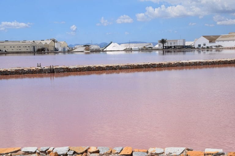 Salinas de San Pedro del Pinatar con sus estanques de agua rosada, montones de sal blanca junto a las naves industriales y cielo azul despejado.