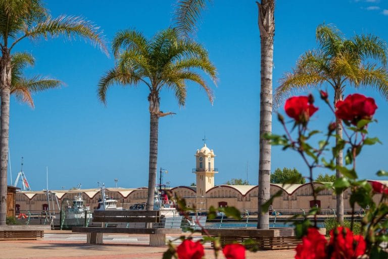 Vista del puerto de Gandía con el edificio del reloj, palmeras y embarcaciones en el litoral valenciano