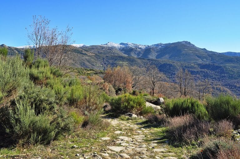 Sendero empedrado entre vegetación de montaña con vistas al Valle del Ambroz y las cumbres nevadas de Cáceres