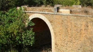 Las rutas de ecoturismo en Valencia son perfectas para la observación de flora y fauna. Conecta con la naturaleza y aprende sobre la biodiversidad local de forma respetuosa.