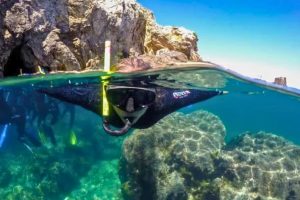 ECO-SNORKEL EN LAS ISLAS MEDAS