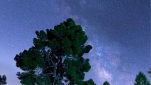 Disfruta del Astroturismo en Valencia. Únete a una sesión de observación de estrellas con telescopio y descubre la belleza del cielo nocturno con guías expertos.