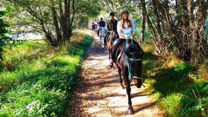 Ruta o Clase Equestre