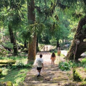 Baños de Bosque