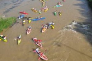 Kayak de Fraga a la Granja o Mequinenza