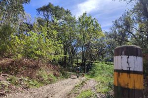 Senderismo por el río Miño con guía