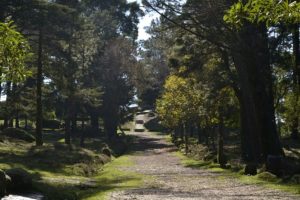 Senderismo por el río Miño con guía