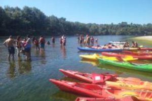 Ruta en kayak de Vinebre a Móra