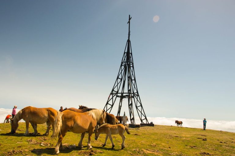 Cruz del Gorbea y caballos
