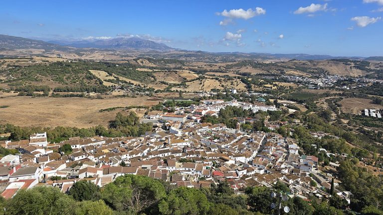 Imagen de galería